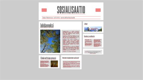 Sosialisaatio – Wikipedia